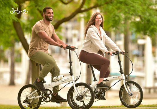 The History of DAHON